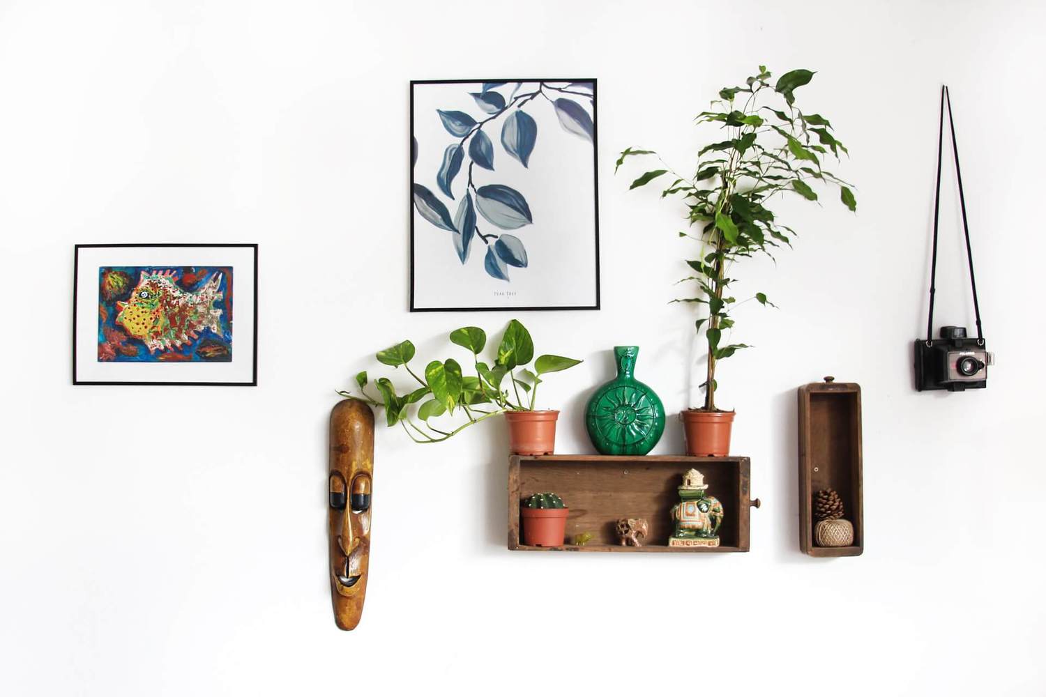 bohemian wall decor, plants, frames