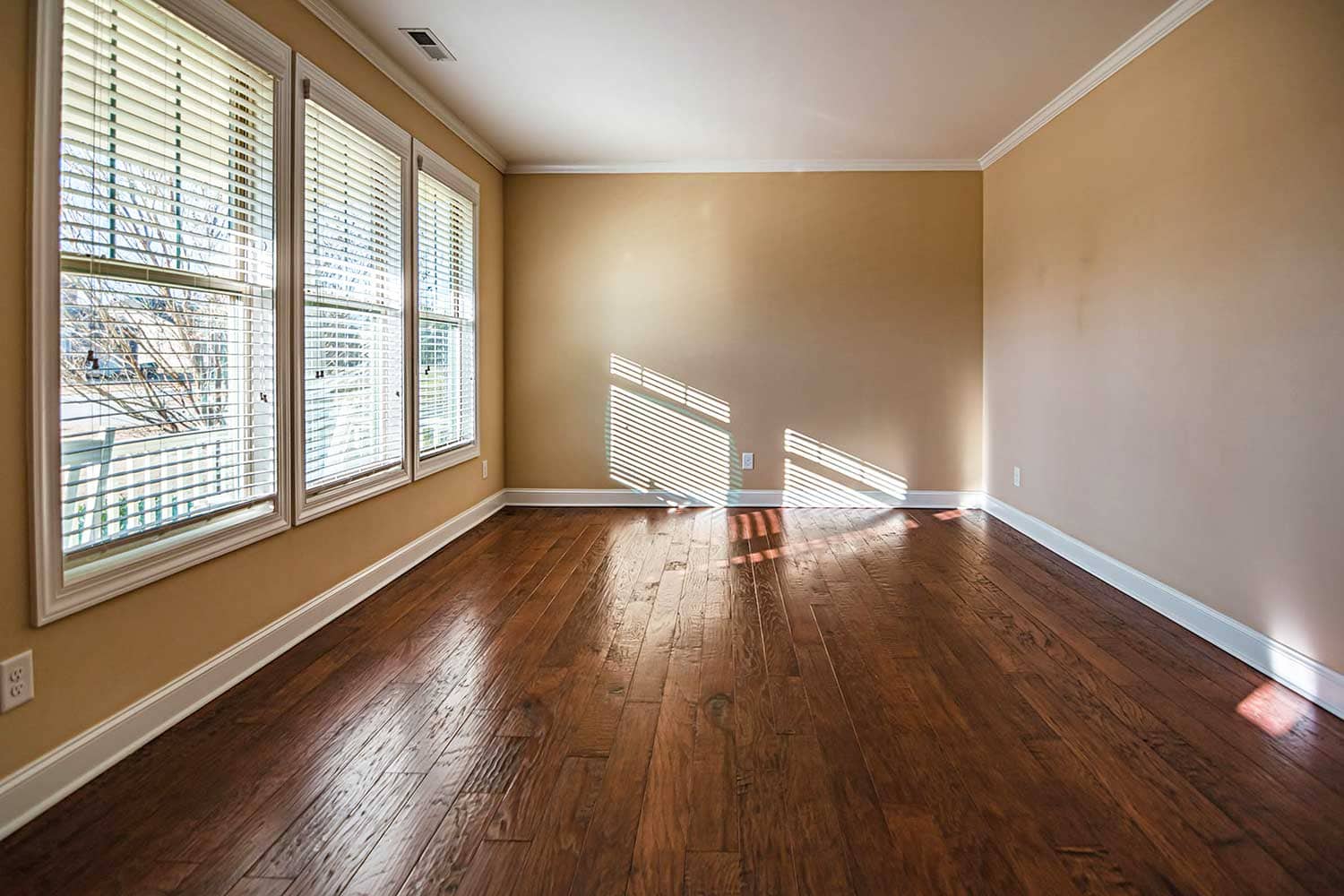 empty living room photo