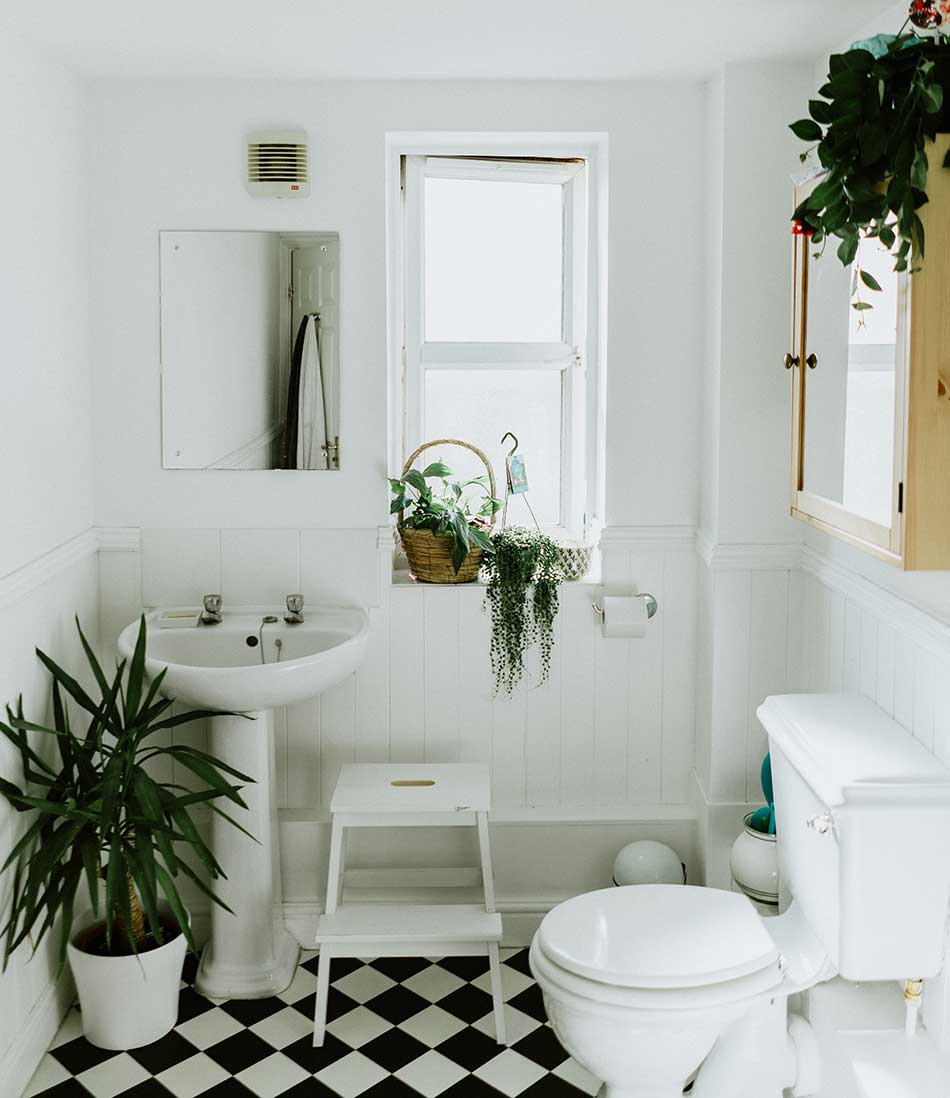 Feng shui rules for bathroom decorating.