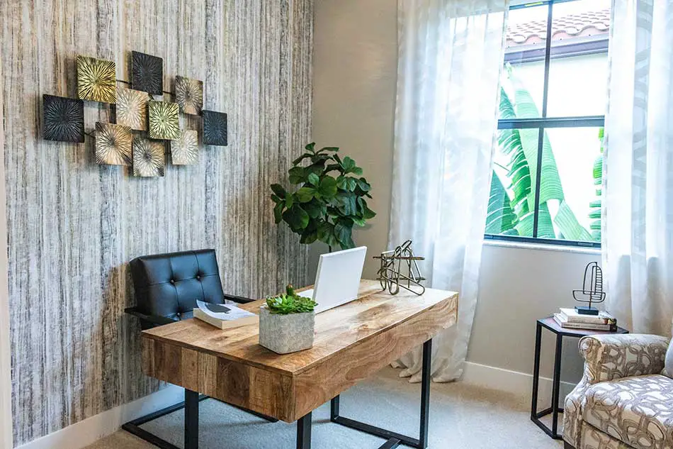 Feng shui desk placement and greenery, home office decorating.