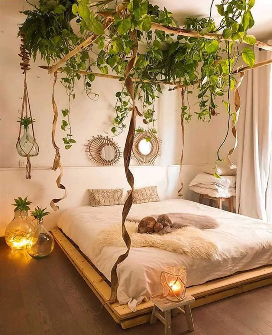 canopy bed with hanging plants