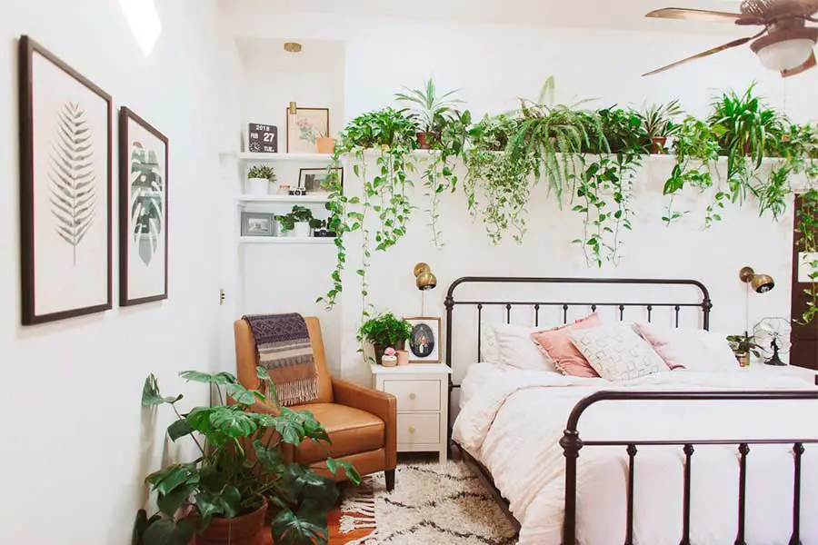 aesthetic white bedroom with plant