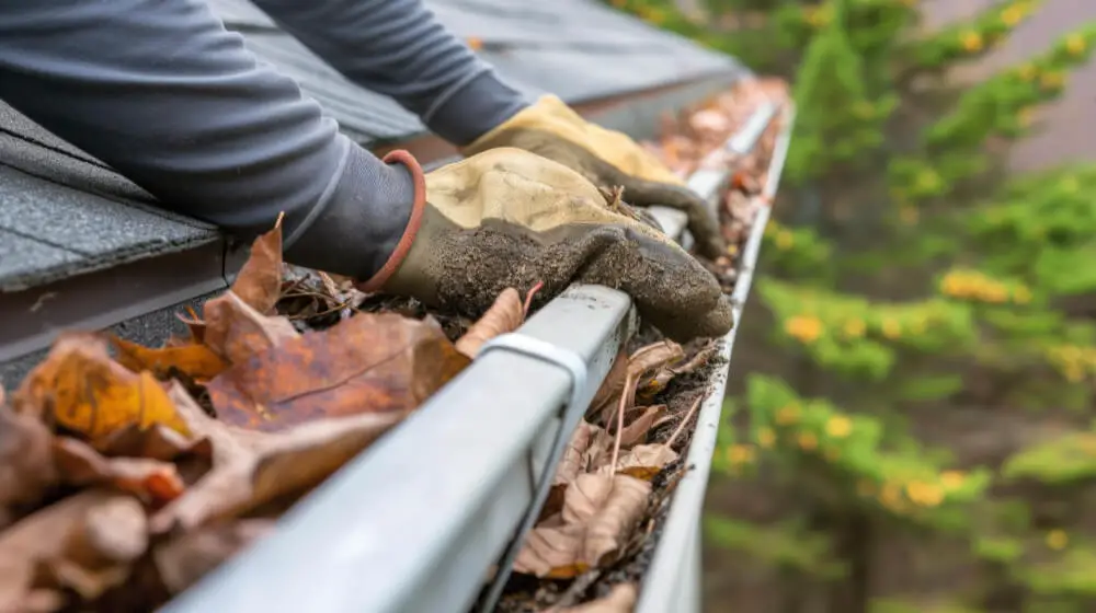 gutter roof maintaince