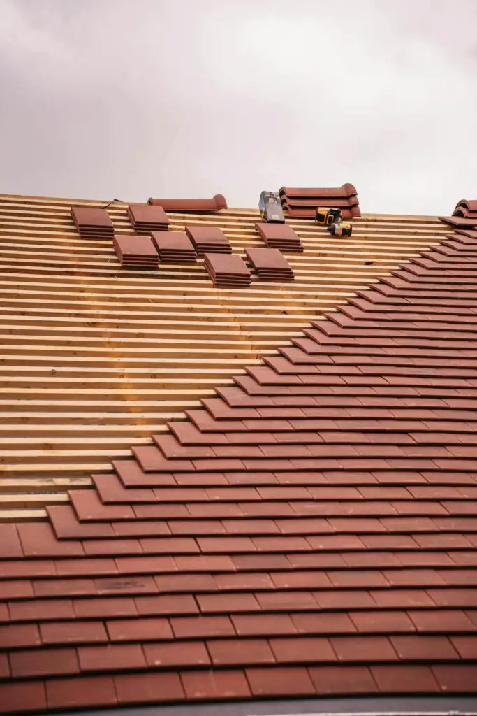roofing cleaning