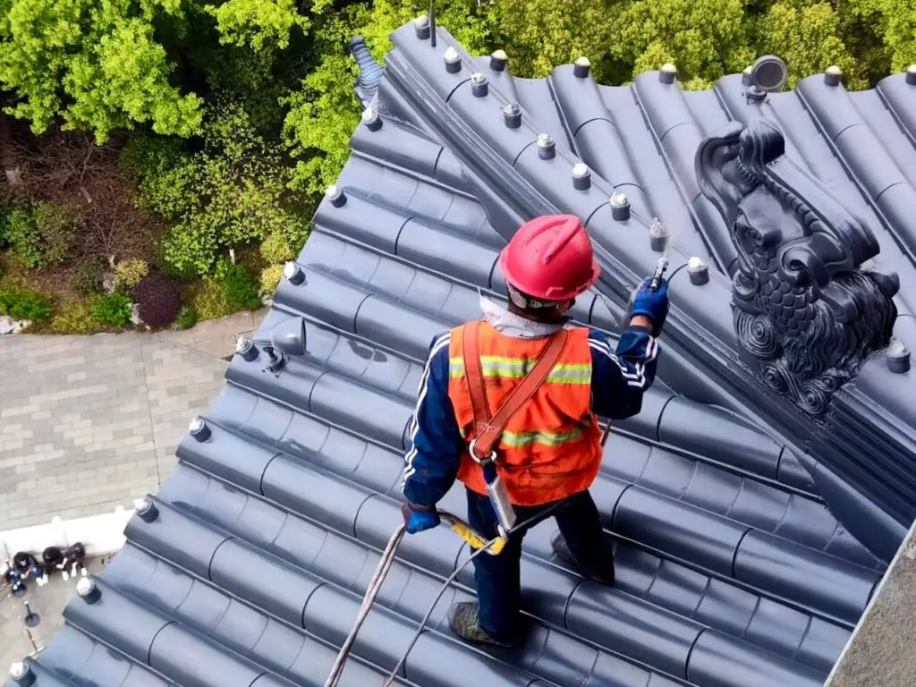 Roof maintenance with Professionals