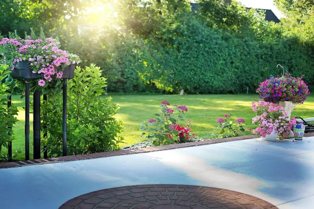 Garden with sunlight.