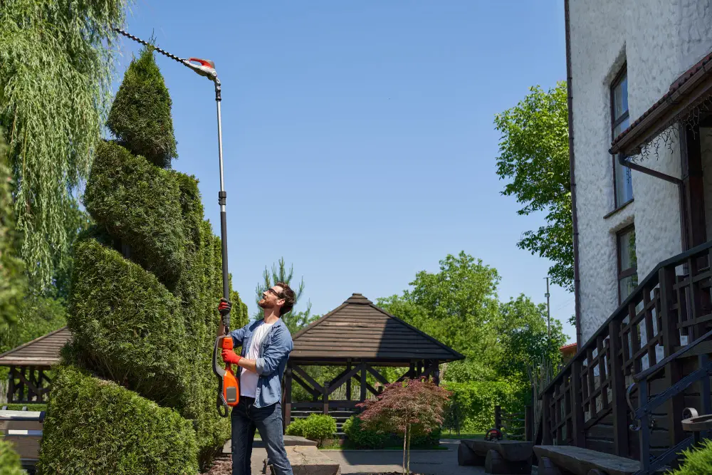 A person uses a long-handled electric hedge trimmer to trim tall, sculpted hedges in a garden on a sunny day, with a gazebo and a house visible in the background.